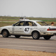 Illustration for article titled The 24 Hours Of LeMons Texas Gator-O-Rama Über Gallery: The Japanese